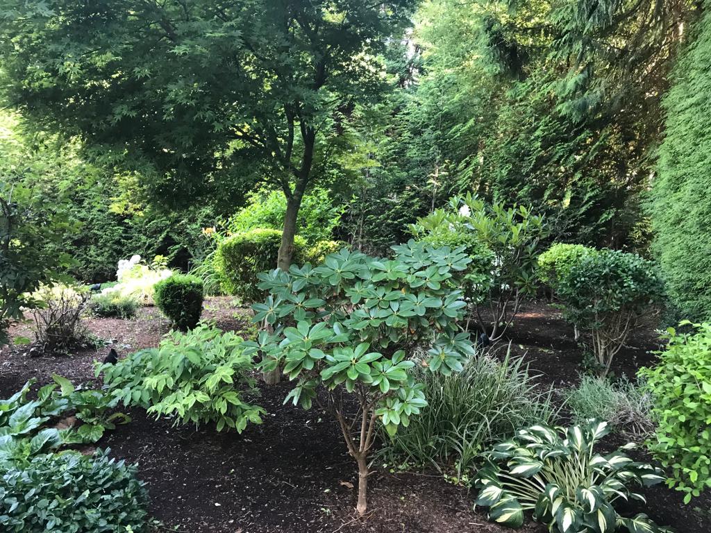 PLC Landscaping project photo