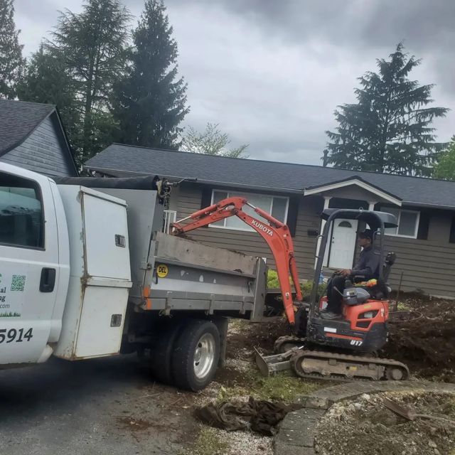 PLC Landscaping project photo