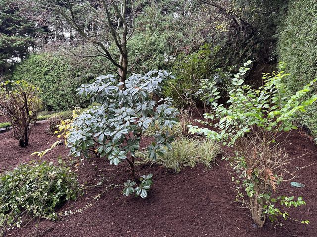 PLC Landscaping project photo