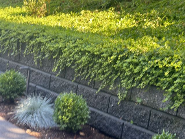 PLC Landscaping project photo